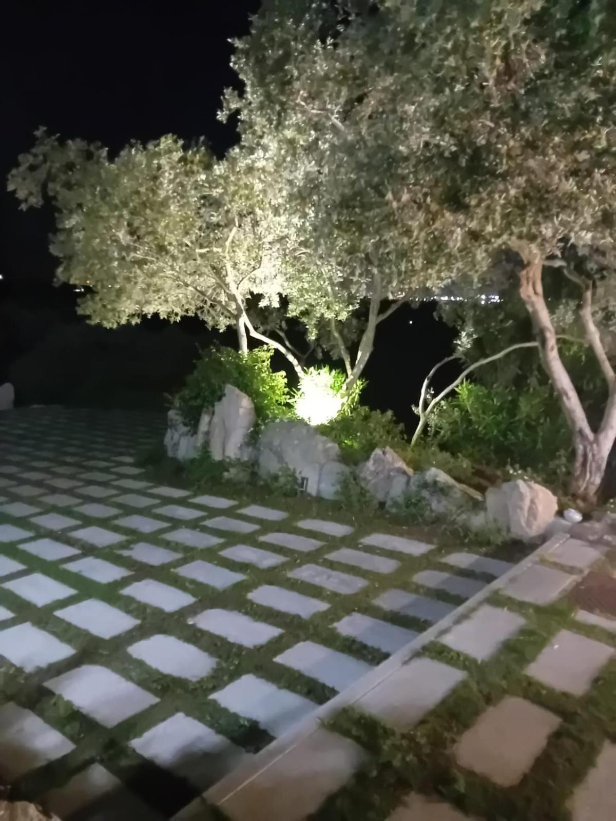 مبيت وإفطار أولبيا Li Petri Manni المظهر الخارجي الصورة